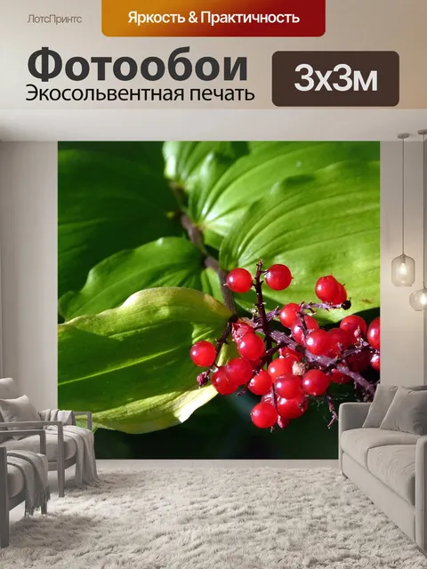 Фотообои Ягоды