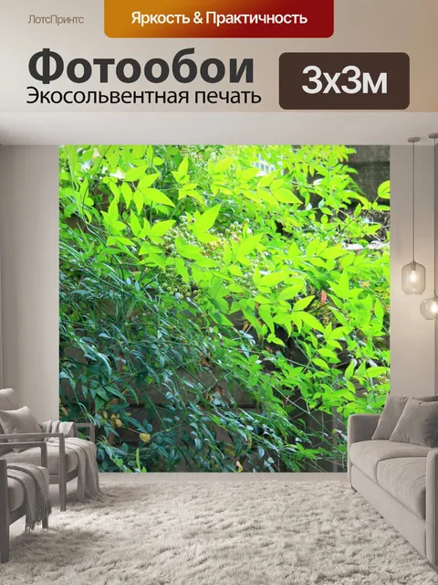 Фотообои святой бамбука с солнцем сзади