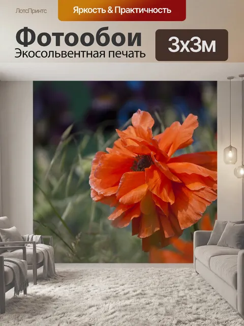 Фотообои Цветы