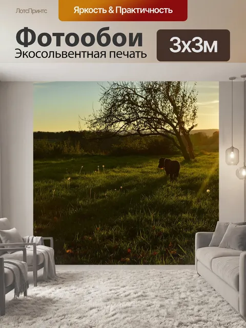 Фотообои Луг