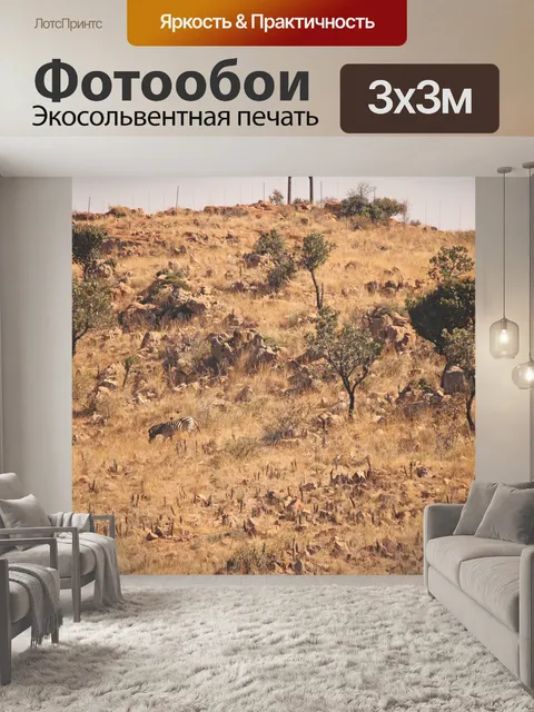 Фотообои зебра, идущая по лугам