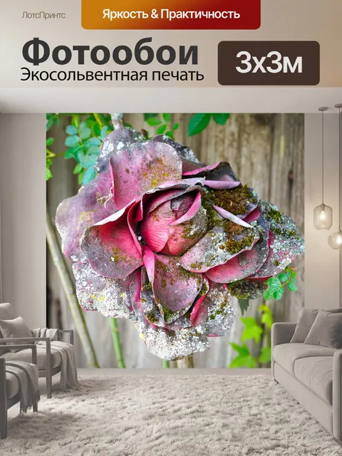Фотообои Роза
