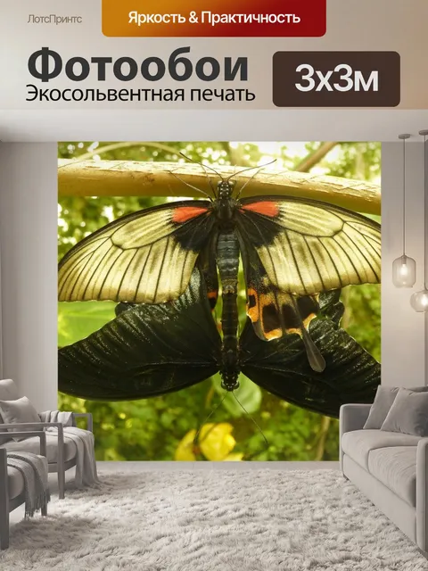 Фотообои Бабочки