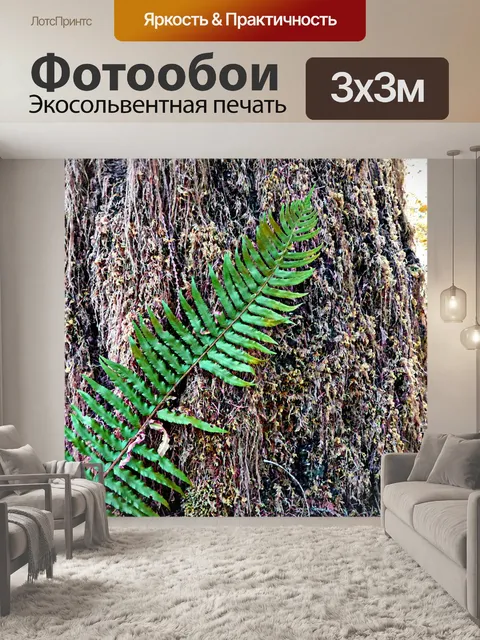 Фотообои Папоротник ветви на стволе дерева