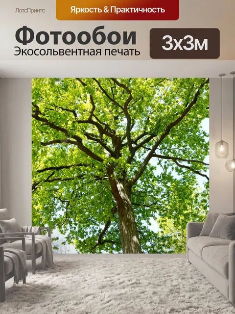 Фотообои Возвышаясь дерево