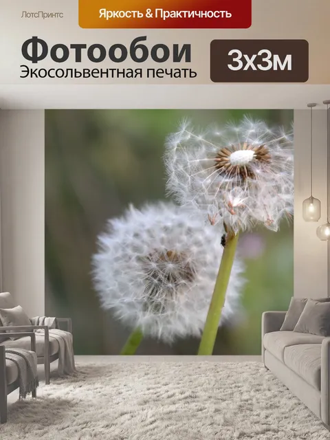Фотообои Одуванчик