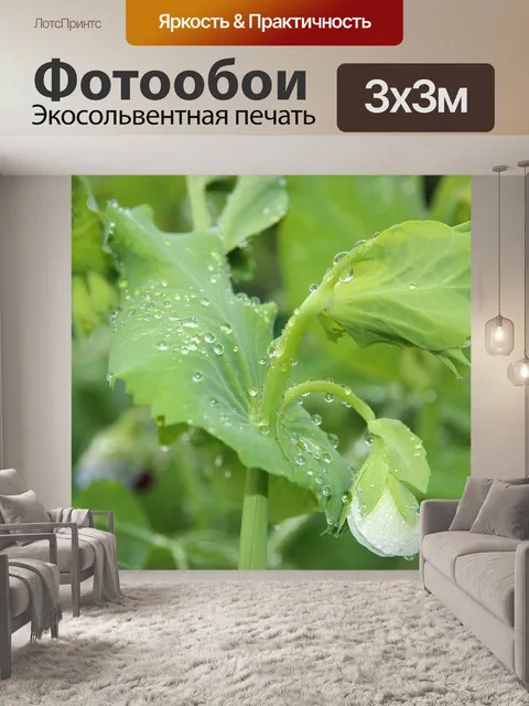 Фотообои Горох
