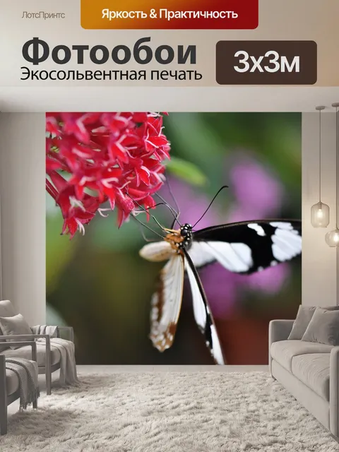 Фотообои Бабочка