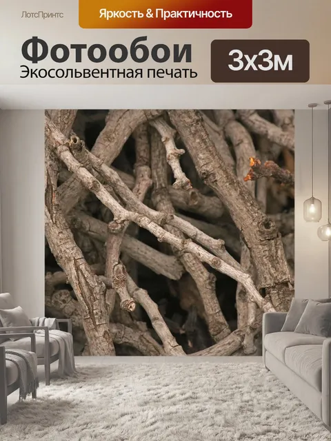 Фотообои сухие деревянные веточки
