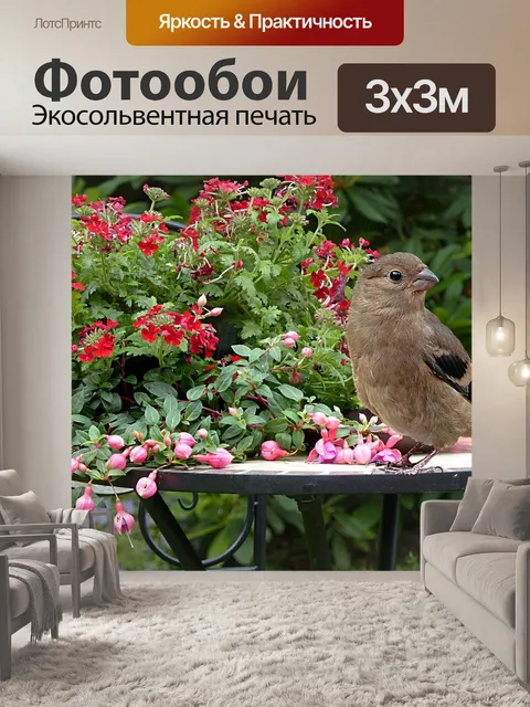 Фотообои Животное