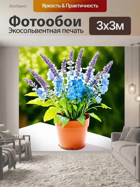 Фотообои в центре изображения разместите комнатный букет из перовскии с яркими синими цветами