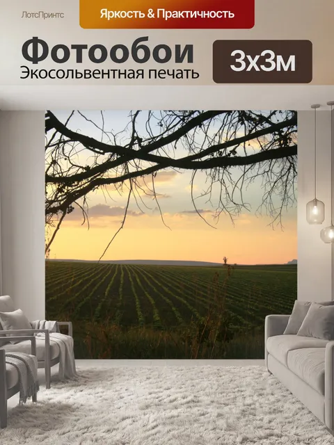 Фотообои закат accross поле