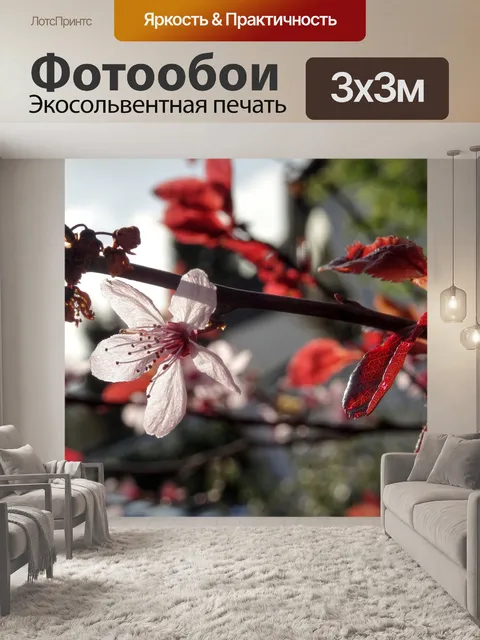 Фотообои Цветок миндаля