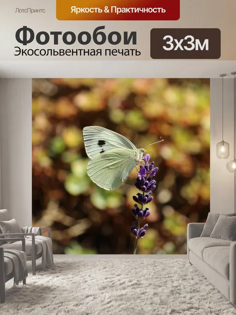 Фотообои Бабочка