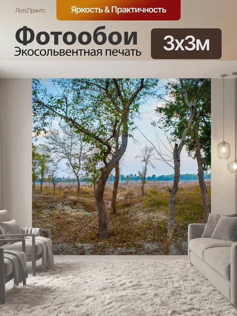 Фотообои Лес