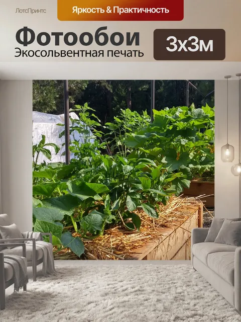 Фотообои Сад