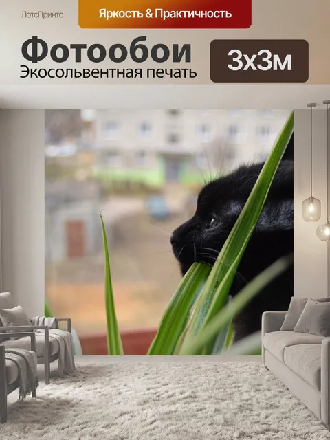 Фотообои Кошка ест листья цветка