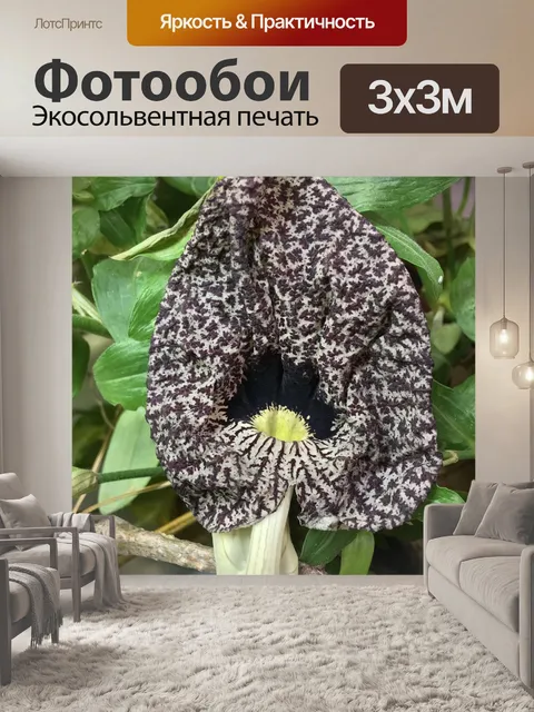 Фотообои Цветок текстурой