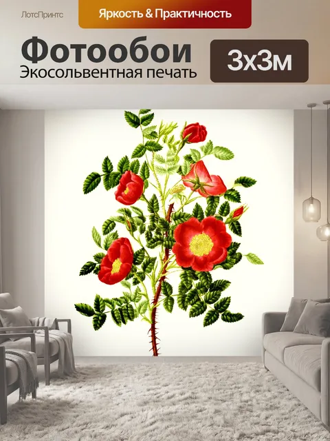 Фотообои Цветы