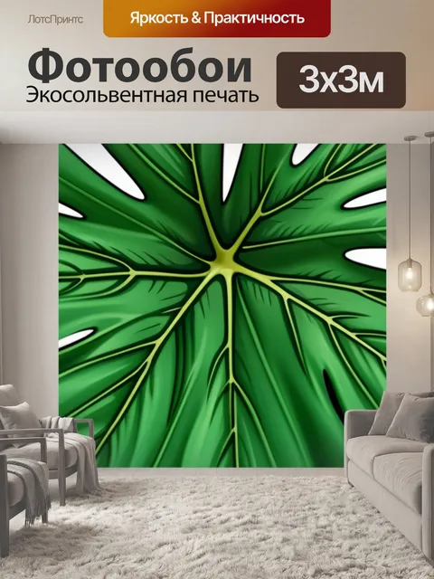 Фотообои с листьями монстеры минимал