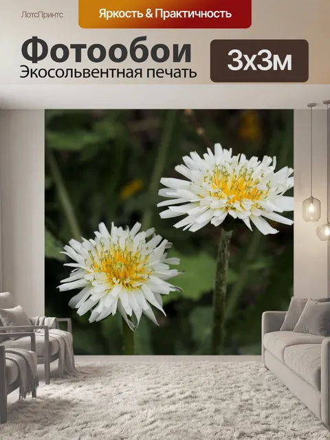 Фотообои Одуванчик