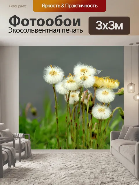 Фотообои Осот огородный
