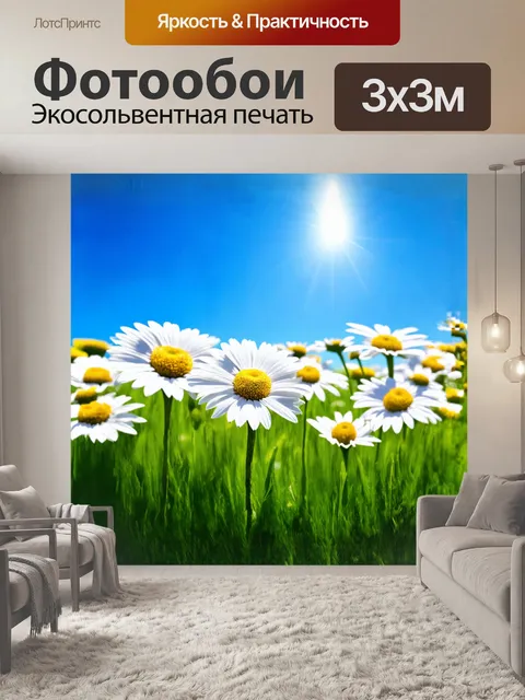 Фотообои описание: лепестки ромашек нежно разложены по роскошному зеленому полю, на фоне яркого голубого неба