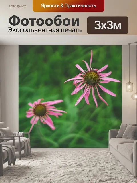 Фотообои Розовые цветы