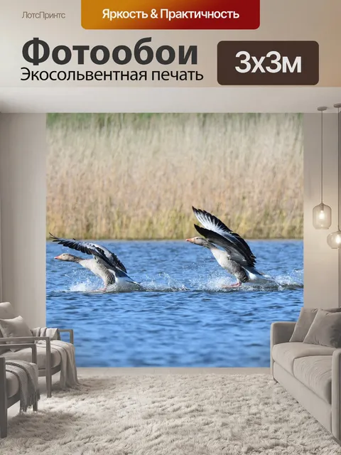 Фотообои Птицы