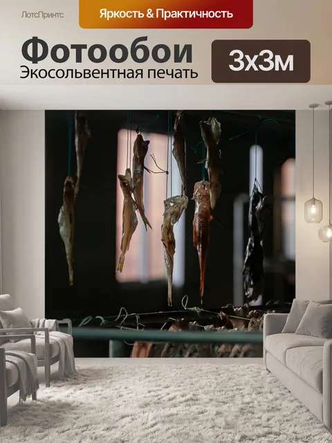 Фотообои Рыбы-сушка