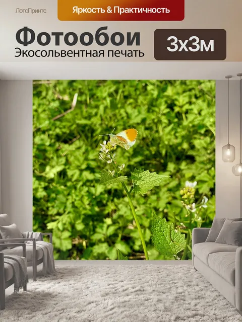 Фотообои Бабочка