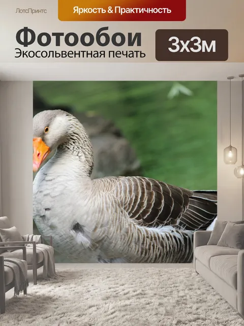 Фотообои Сонный гусь