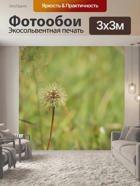 Фотообои Одуванчик