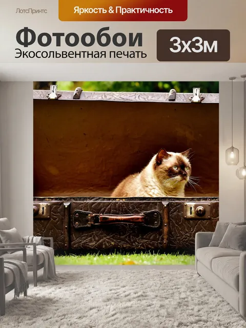 Фотообои Чемодан