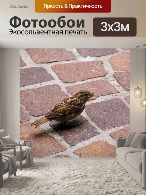 Фотообои Птица