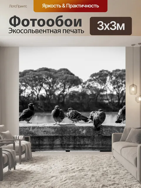 Фотообои Чернить