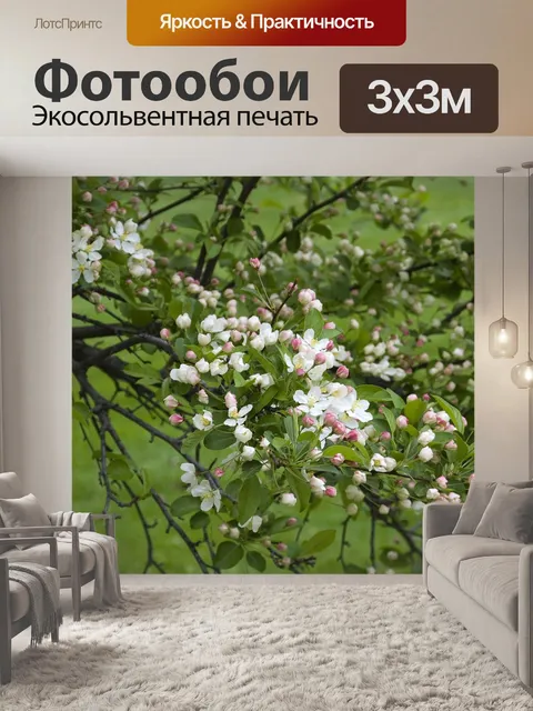 Фотообои Бутон