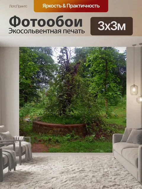 Фотообои Лес 25