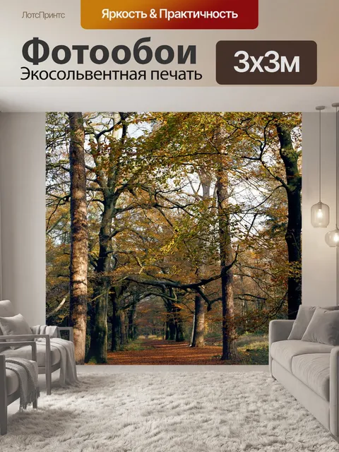Фотообои Лес