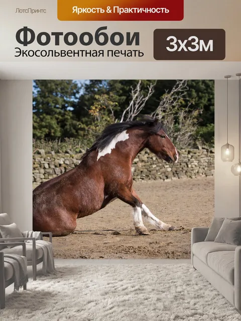 Фотообои лошадь