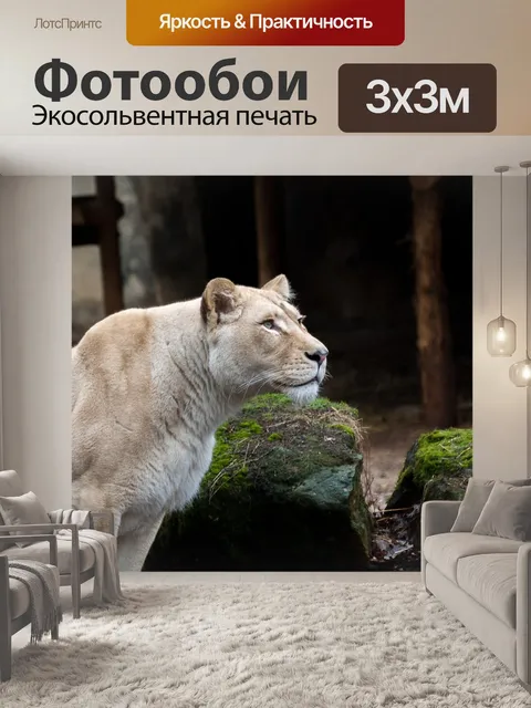 Фотообои Животные