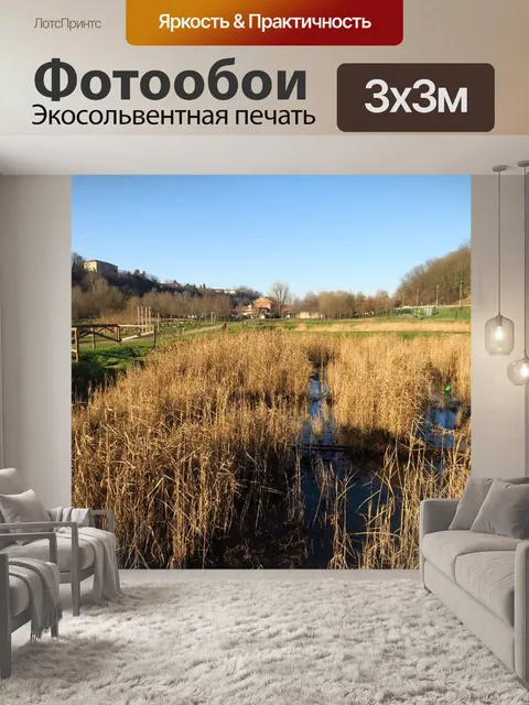 Фотообои Природа