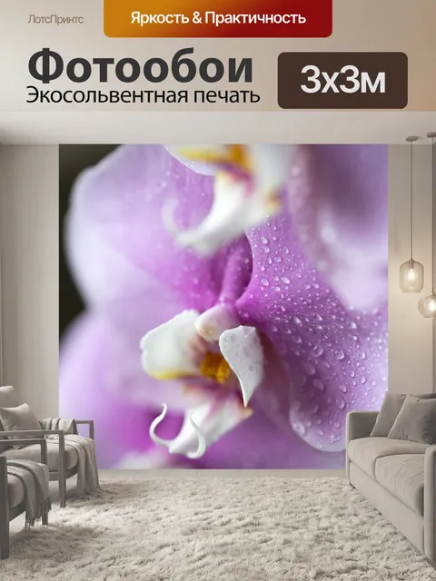 Фотообои Орхидеи