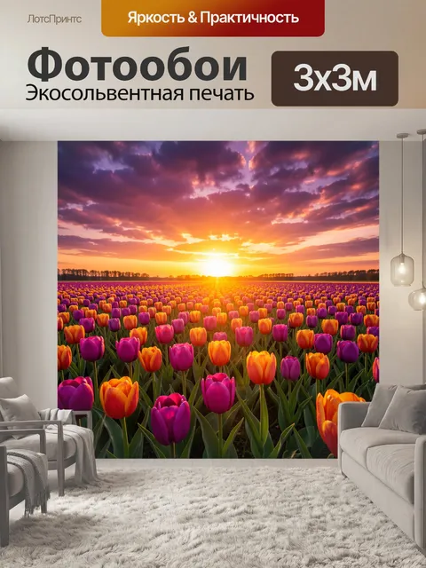 Фотообои Поле тюльпанов на закате