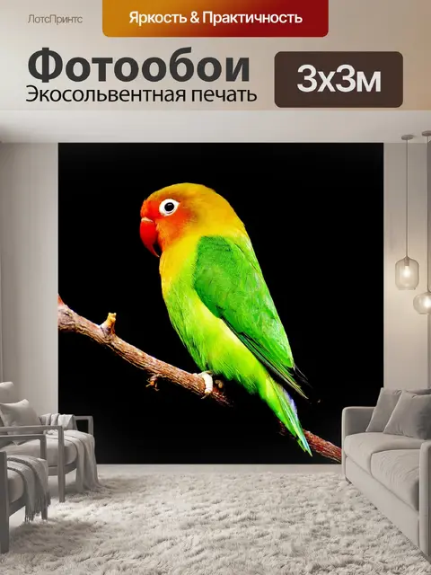 Фотообои Птица