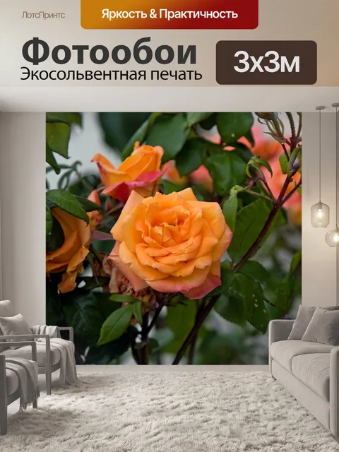 Фотообои Оранжевые розы