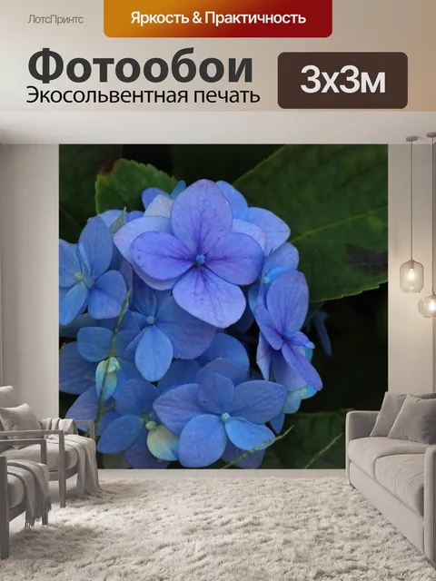 Фотообои синий цветок гортензии