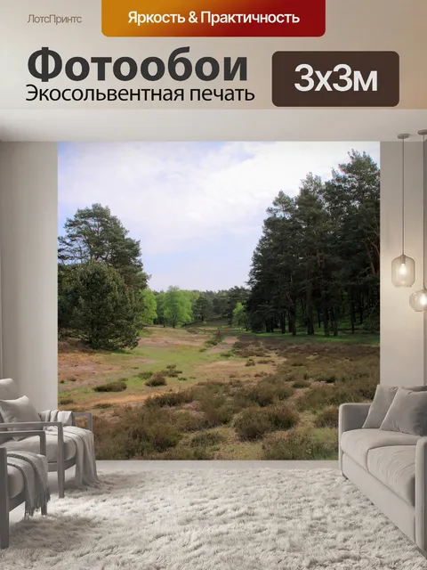 Фотообои Фон