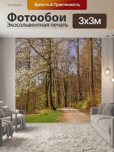 Фотообои Лес