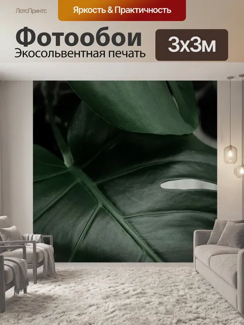 Фотообои Монстера